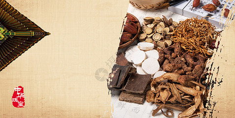 扼殺在搖籃中的嫩芽 從傳統到現代視野下的珍稀中藥材保護困局