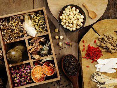 中醫藥事業迎發展良機 傳統瑰寶在現代醫療中綻放新光芒